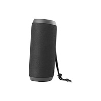 Deltaco STREETZ S250 - högtalare - för bärbar användning - trådlös