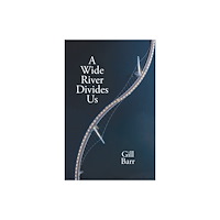 Cinnamon Press A Wide River Divides Us (häftad, eng)
