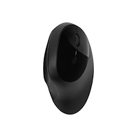 Kensington Computer Products Group Kensington Pro Fit Ergo Wireless Mouse - mus - 2.4 GHz, Bluetooth 4.0 LE - svart