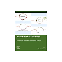 Elsevier Science Publishing Co Inc Bidirectional Gene Promoters (häftad, eng)