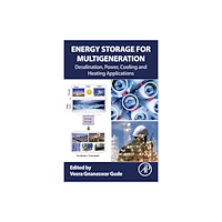Elsevier Science Publishing Co Inc Energy Storage for Multigeneration (häftad, eng)