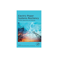 Elsevier Science & Technology Electric Power Systems Resiliency (häftad, eng)