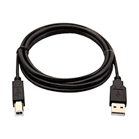 V7 V7 - USB-kabel - USB till USB typ B - 2 m