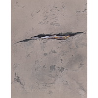 Oscar Furbacken Concealed Landscapes (inbunden, eng)