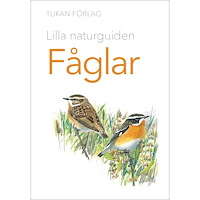 Tukan Förlag Lilla naturguiden: Fåglar