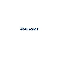 Patriot Memory Patriot Viper PVP30 - USB flash-enhet - 1 TB