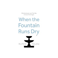Troubador Publishing When the Fountain Runs Dry (häftad, eng)