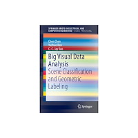 Springer Verlag, Singapore Big Visual Data Analysis (häftad, eng)