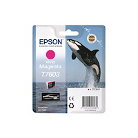 EPSON Epson T7603 - intensiv magenta - original - bläckpatron