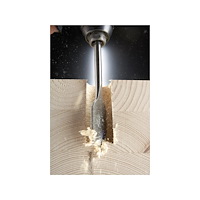 IRWIN IRWIN 10502812, Borr, Centrumborr, 1,9 cm, 157 mm, Trä, Rost...