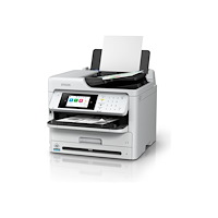 EPSON Epson WorkForce Pro WF-M5899DWF - multifunktionsskrivare - svartvit