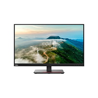 Lenovo Lenovo ThinkVision P27h-28 - LED-skärm - QHD - 27"
