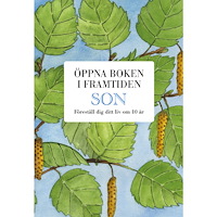 Mats Billmark Son : öppna boken i framtiden (bok, kartonnage)
