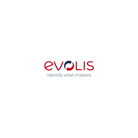 Evolis Evolis Classic Blank Cards - kort - 500 kort - 86 x 54 mm