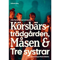 Anton Tjechov Anton Tjechov för unga teatergrupper : Körsbärsträdgården, Måsen & Tre systrar (häftad)