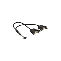 DeLOCK Delock - USB-intern till extern kabel - 10-stifts USB-överdel till USB - 25 cm