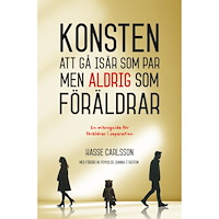 Whip Media Konsten att gå isär som par, men aldrig som förälder (bok, danskt band)
