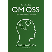 Agne Ludvigsson En liten bok om oss och våra personligheter (bok, danskt band)