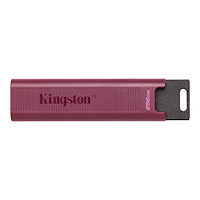 Kingston Technology Kingston DataTraveler Max - USB flash-enhet - 256 GB