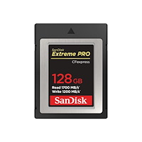 SANDISK SanDisk Extreme Pro - flash-minneskort - 128 GB - CFexpress