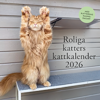 Pug Förlag Roliga katters kattkalender 2026 (bok, spiral)