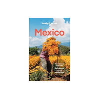 Lonely Planet Lonely Planet Mexico (pocket, eng)