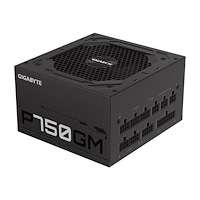 Gigabyte Technology Gigabyte P750GM - nätaggregat - 750 watt