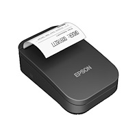 EPSON Epson TM P20II (101) - kvittoskrivare - svartvit - punktmatris