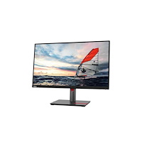 Lenovo Lenovo ThinkVision P25i-30 - LED-skärm - Full HD (1080p) - 25"