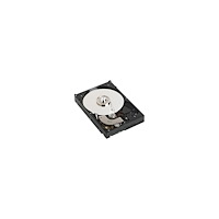 DELL Dell - hårddisk - 1 TB - SATA 6Gb/s