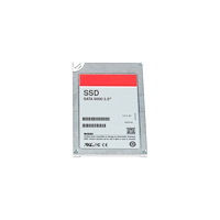 DELL Dell - SSD - 256 GB