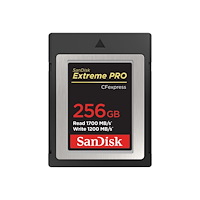 SANDISK SanDisk Extreme Pro - flash-minneskort - 256 GB - CFexpress