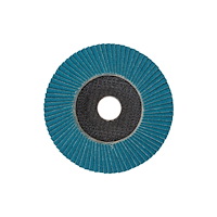 kwb kwb 795728, Slipskiva, Metall, Varje varumärke, 2,2 cm, 12,5...