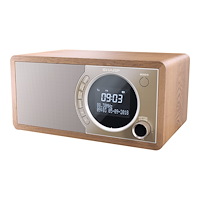 Sharp Sharp DR-450 - DAB-radio