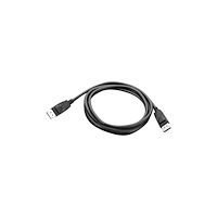 Lenovo Lenovo DisplayPort-kabel - 1.8 m