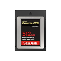 SANDISK SanDisk Extreme Pro - flash-minneskort - 512 GB - CFexpress