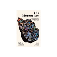 Helen Gordon The Meteorites (pocket, eng)