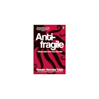 Nassim Nicholas Taleb Antifragile (pocket, eng)