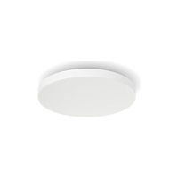 Philips HUE Philips Hue White and Color Ambiance Datura - taklampspanel - LED - 48 W - rund liten - vit