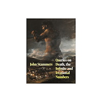 Pan Macmillan Queries on Death, the Infinite and Irrational Numbers (häftad, eng)