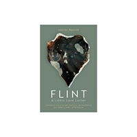 Eye Books Flint (häftad, eng)