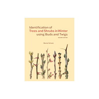 Royal Botanic Gardens Identification of Trees and Shrubs in Winter using Buds and Twigs (häftad, eng)
