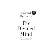 New River Books Ltd The Divided Mind (inbunden, eng)