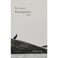 Klas Grinell brennøyarna (bok, danskt band)