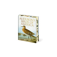 Arcturus publishing ltd Audubon's Birds of America (inbunden, eng)