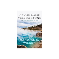 Counterpoint A Place Called Yellowstone (häftad, eng)