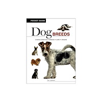 Amber Books Ltd Dog Breeds (häftad, eng)