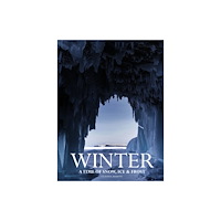 Amber Books Ltd Winter (inbunden, eng)