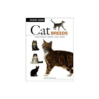 Amber Books Ltd Cat Breeds (häftad, eng)