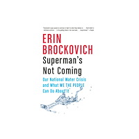 Erin Brockovich Superman's Not Coming (häftad, eng)